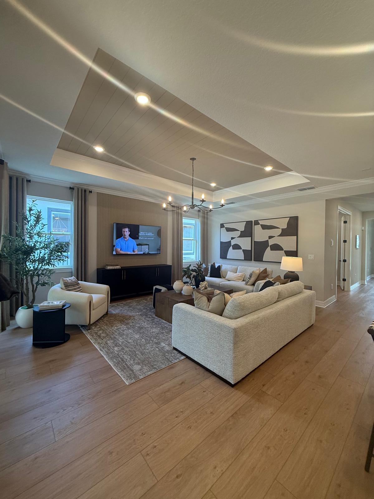 Living Room Plank Flooring